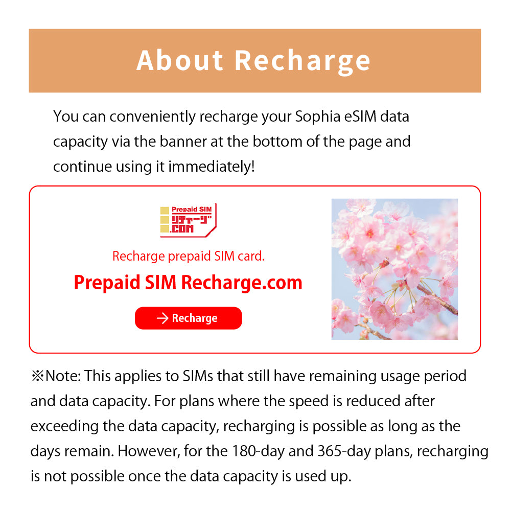 Japan Data eSIM　100GB／365days