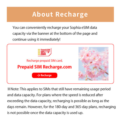 Japan Data eSIM　100GB／365days