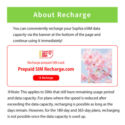 Japan Data eSIM　100GB／365days