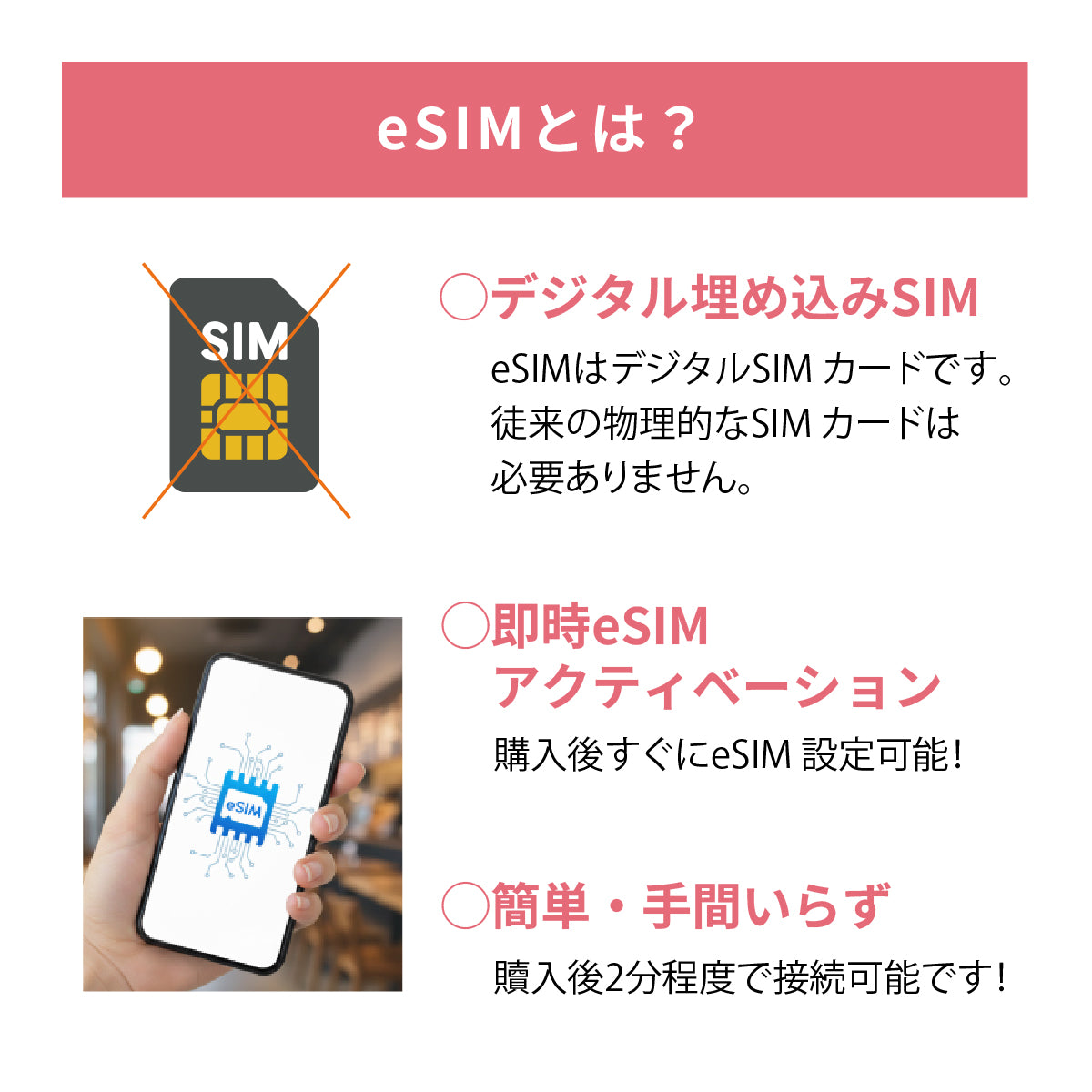 日本国内専用 データeSIM　100GB／365日間