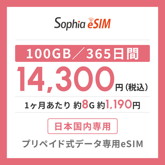 日本国内専用 データeSIM　100GB／365日間