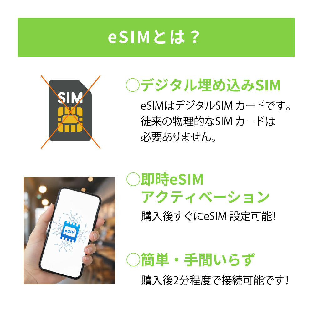 日本国内専用 データeSIM　100GB／365日間