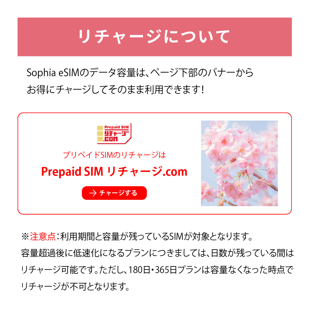 日本国内専用 データeSIM　100GB／365日間