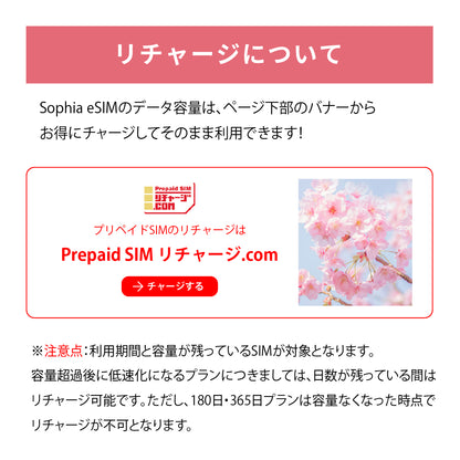 日本国内専用 データeSIM　100GB／365日間