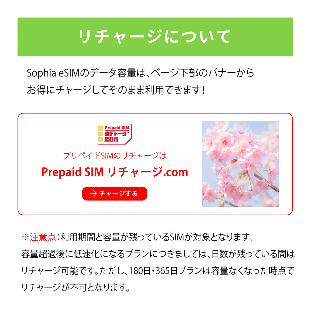 日本国内専用 データeSIM　100GB／365日間