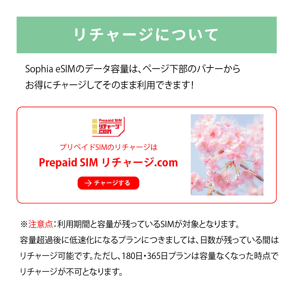 日本国内専用 データeSIM　10GB／31日間