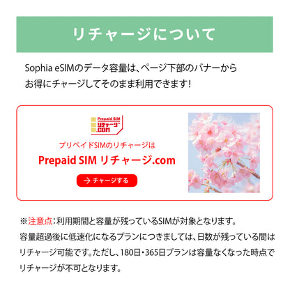 日本国内専用 データeSIM　10GB／31日間