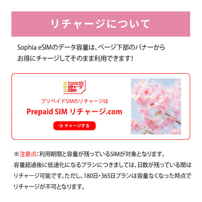 日本国内専用 データeSIM　10GB／31日間