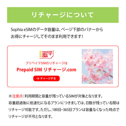 日本国内専用 データeSIM　15GB／5日間