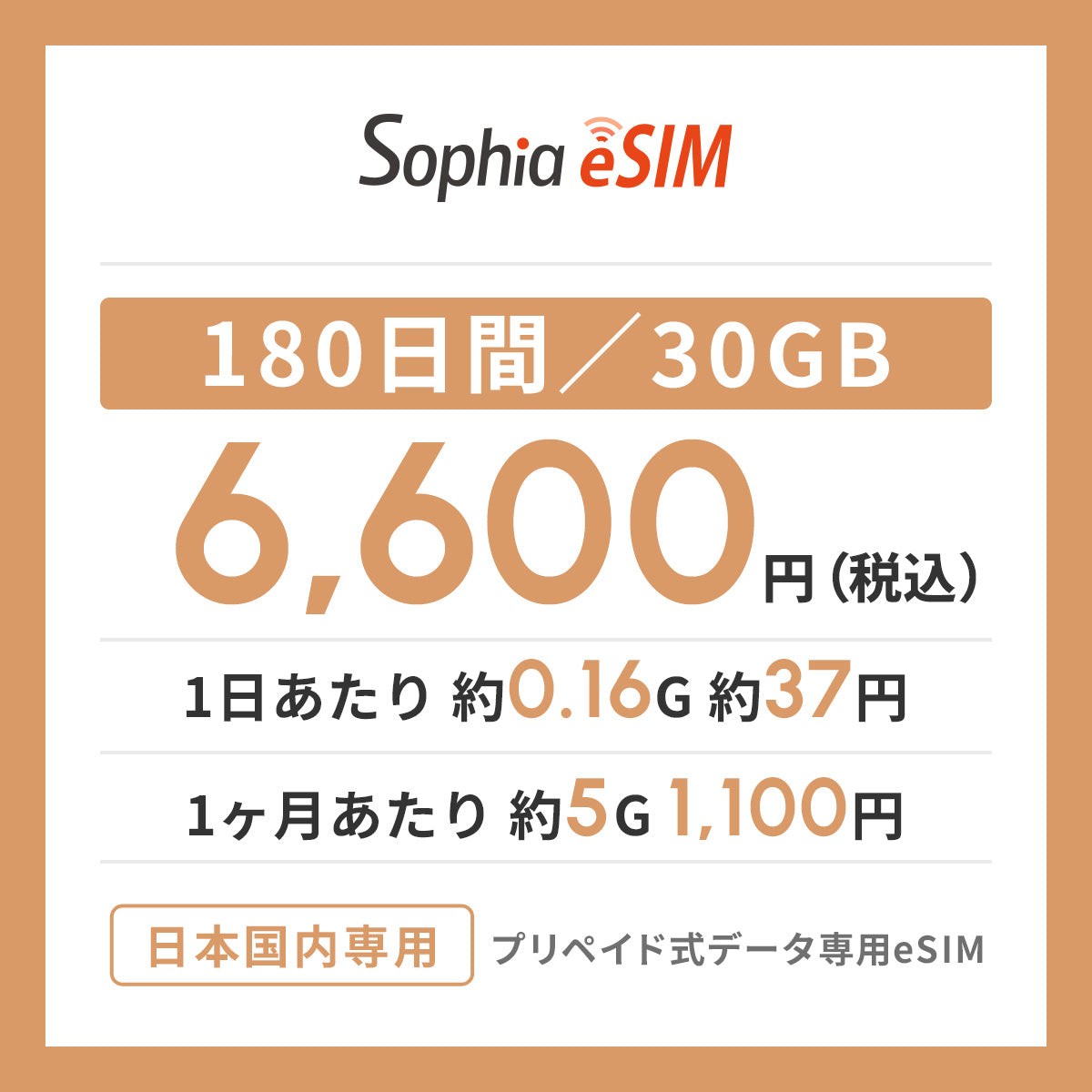 日本国内専用 データeSIM　180日間/30GB