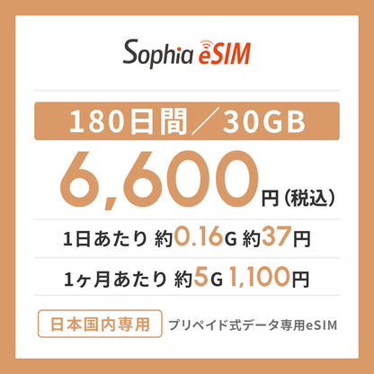 日本国内専用 データeSIM　180日間/30GB