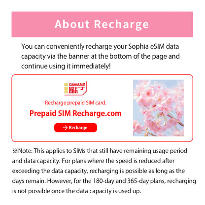 Japan Data eSIM　1GB／3days