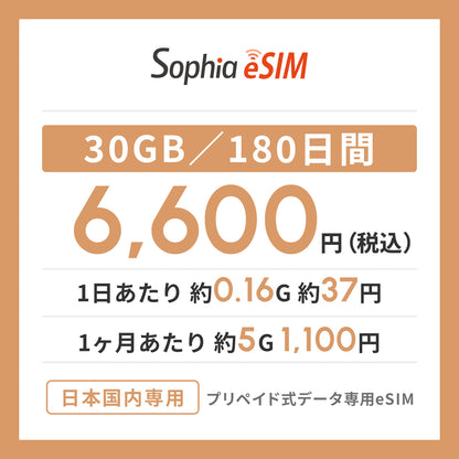 日本国内専用 データeSIM　30GB／180日間