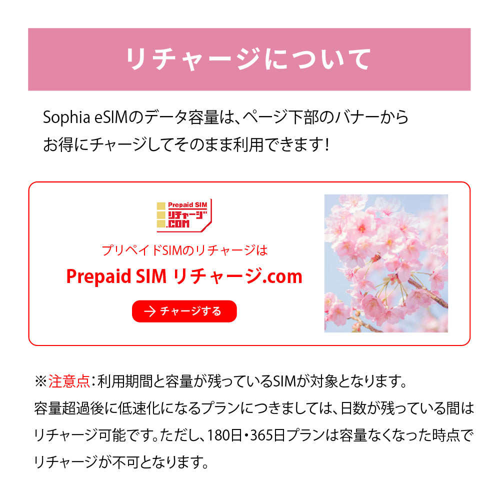 日本国内専用 データeSIM　30GB／180日間