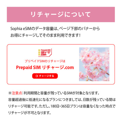 日本国内専用 データeSIM　30GB／180日間