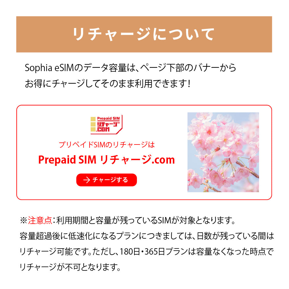 日本国内専用 データeSIM　30GB／180日間
