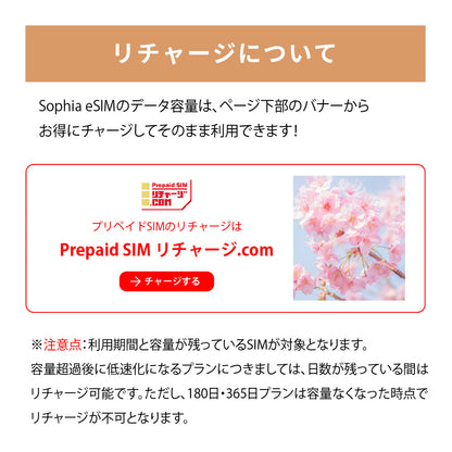 日本国内専用 データeSIM　30GB／180日間
