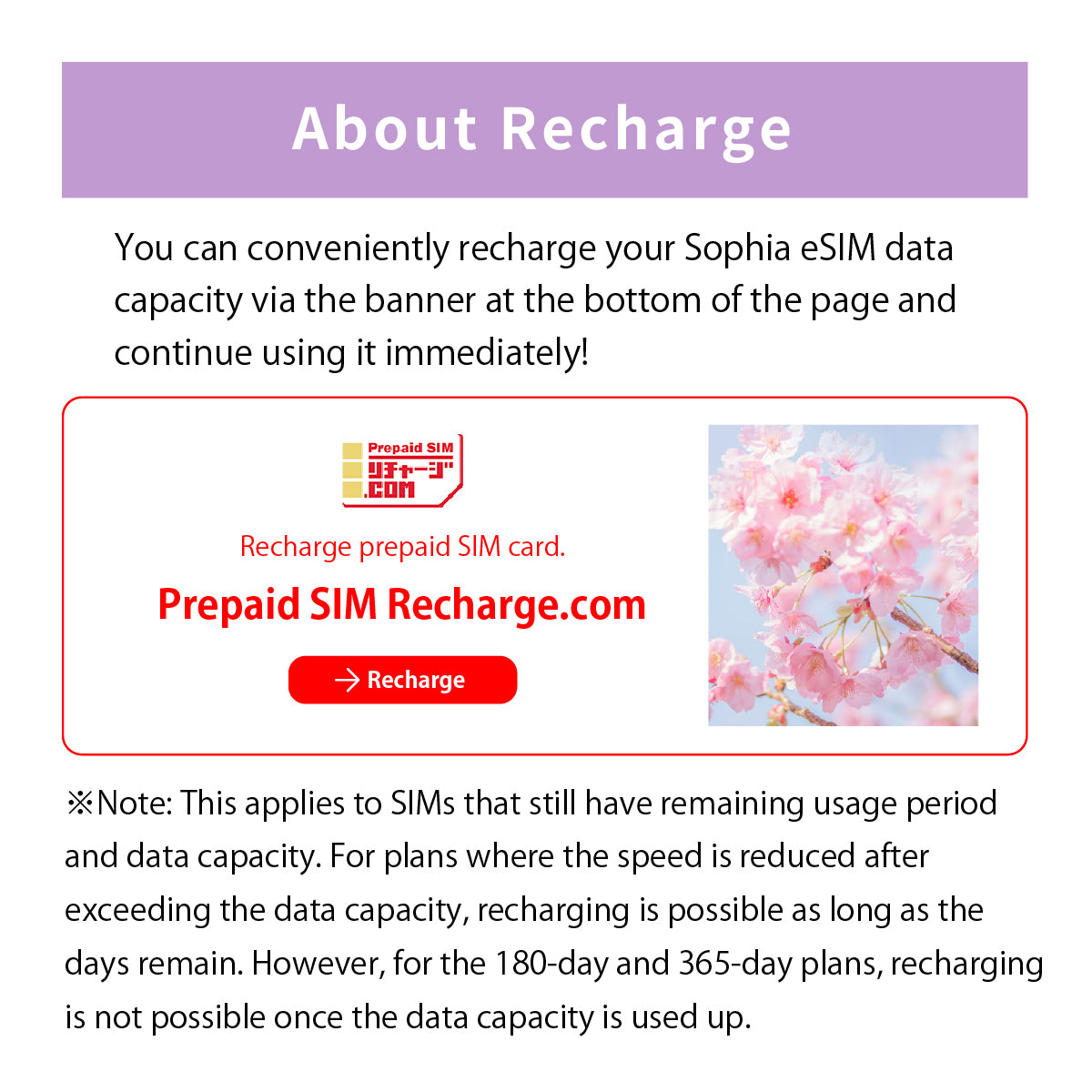Japan Data eSIM　30GB／31days