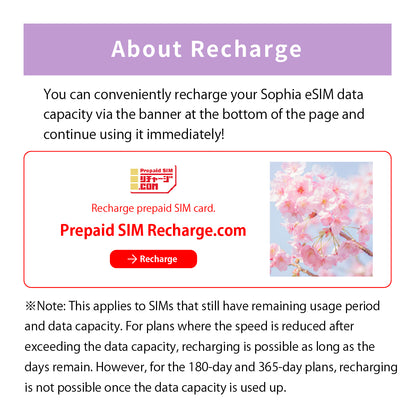 Japan Data eSIM　30GB／31days