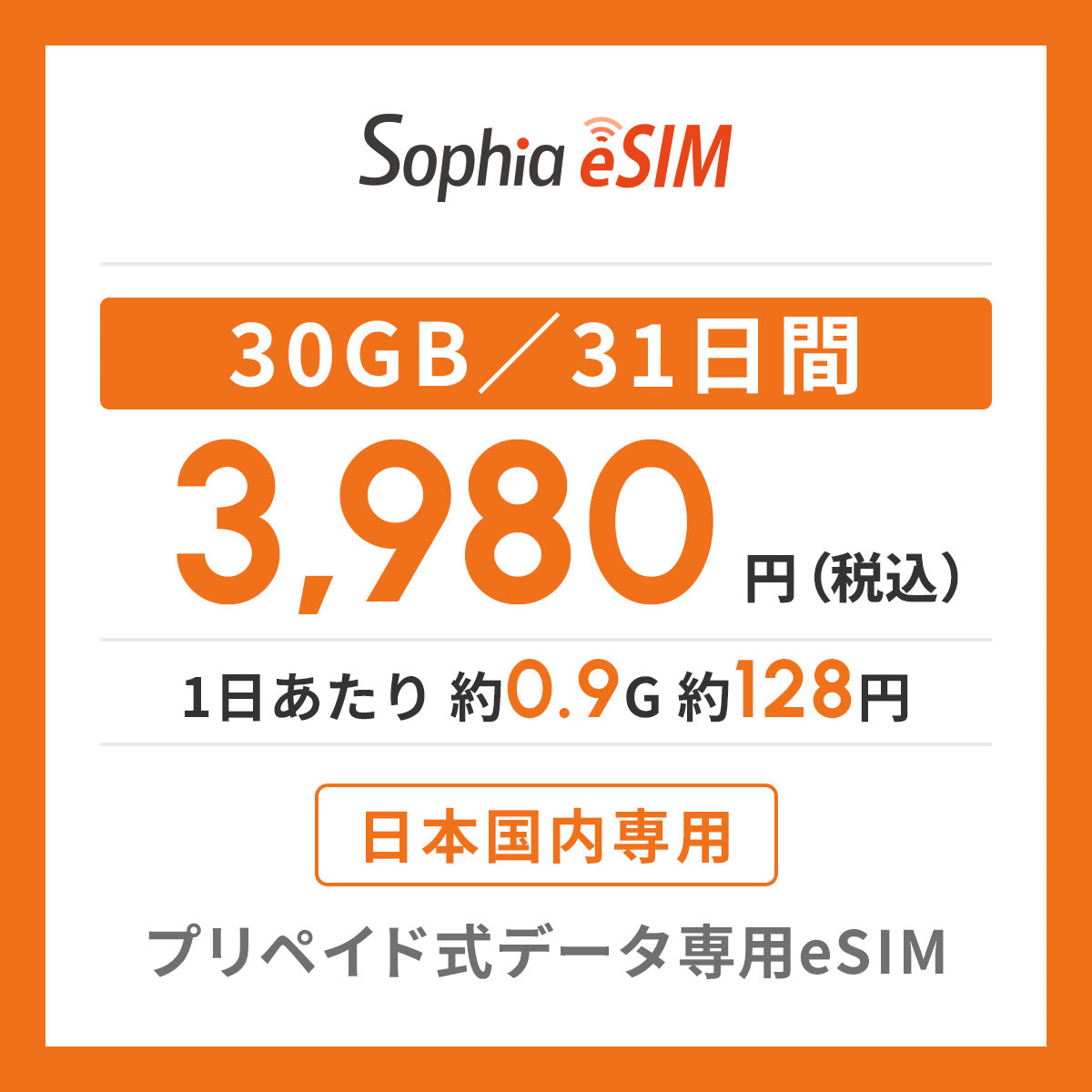 日本国内専用 データeSIM　30GB／31日間