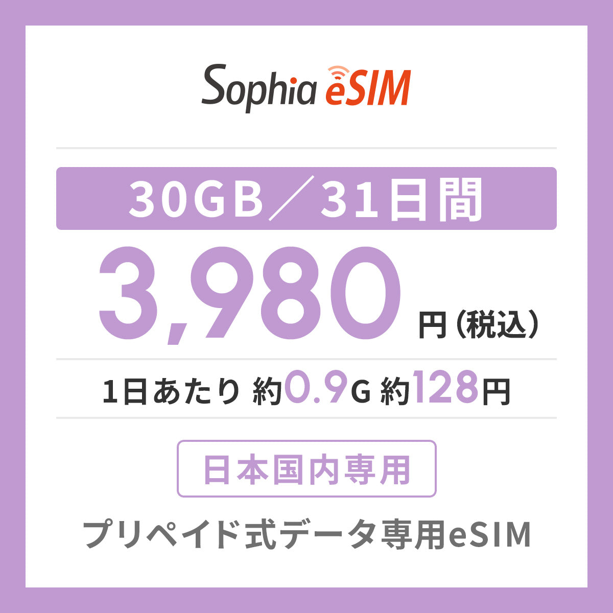 日本国内専用 データeSIM　30GB／31日間