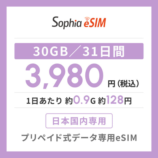 日本国内専用 データeSIM　30GB／31日間