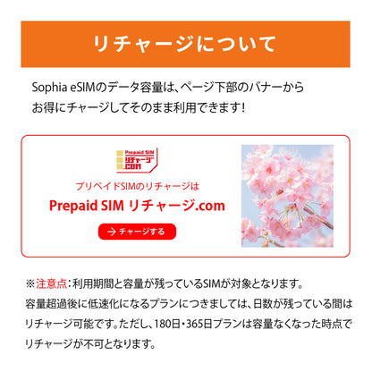 日本国内専用 データeSIM　30GB／31日間