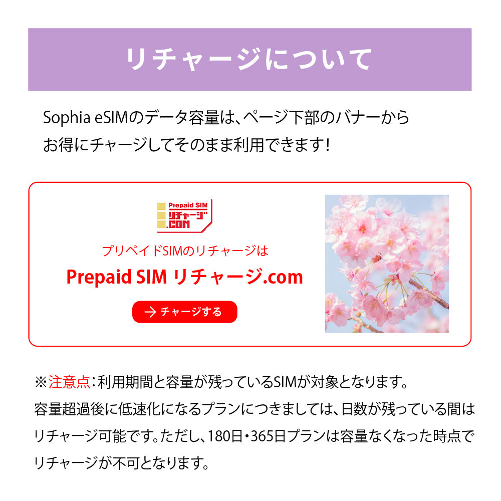 日本国内専用 データeSIM　30GB／31日間