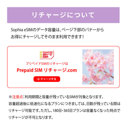 日本国内専用 データeSIM　30GB／31日間