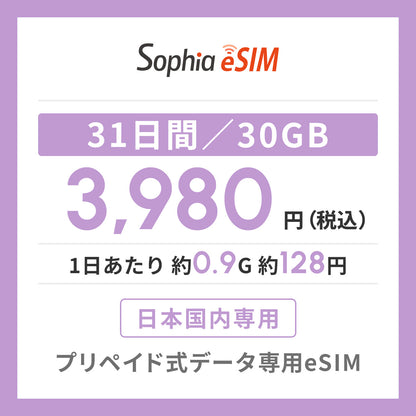 日本国内専用 データeSIM　31日間/30GB