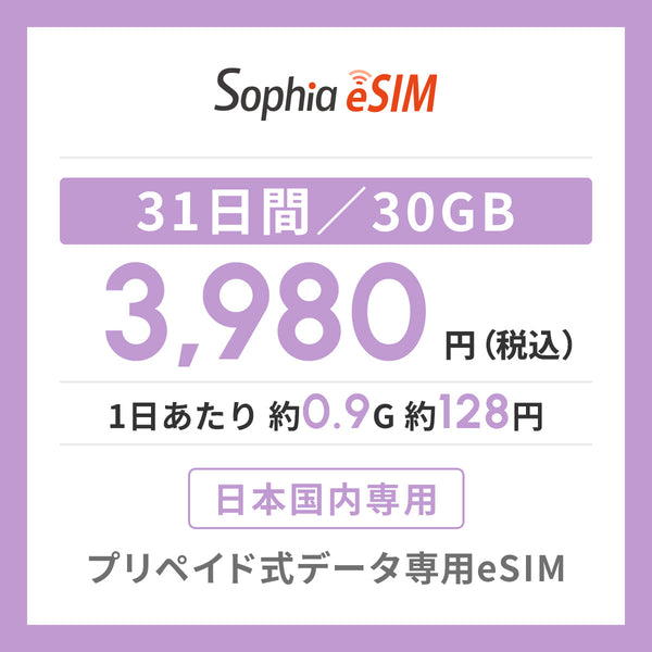日本国内専用 データeSIM　31日間/30GB