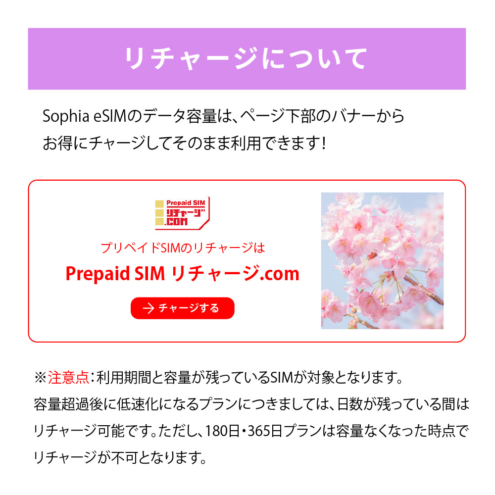 日本国内専用 データeSIM　3GB／3日間