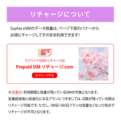 日本国内専用 データeSIM　3GB／3日間