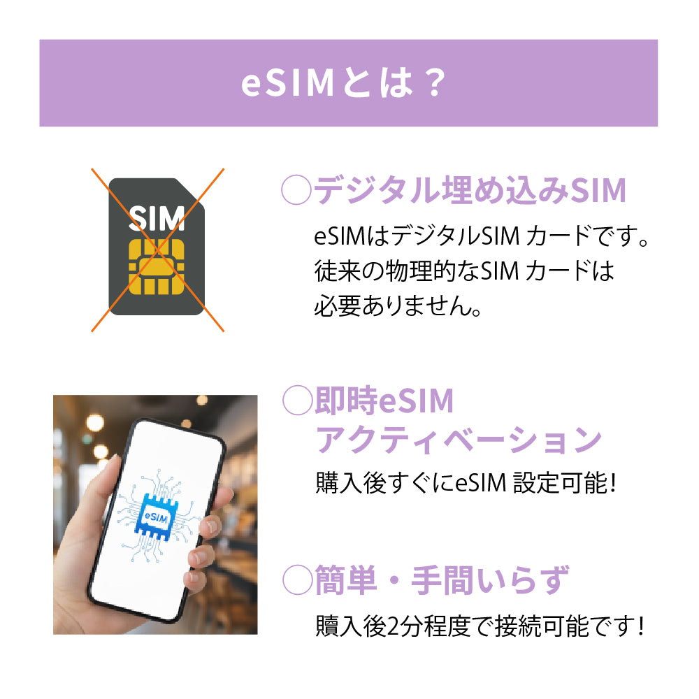 日本国内専用 データeSIM　50GB／180日間