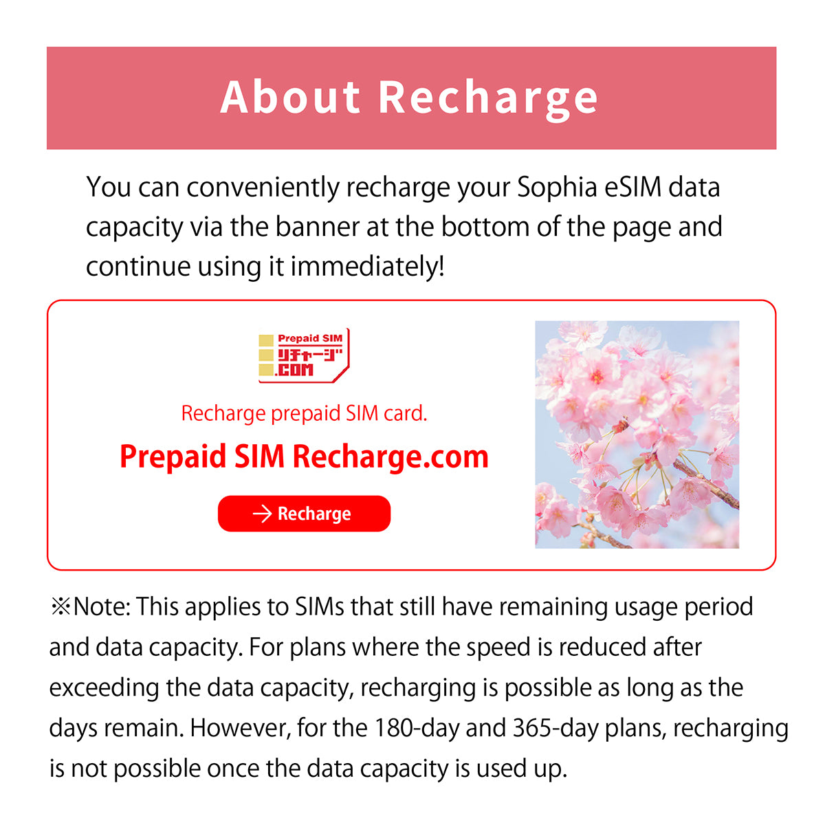 Japan Data eSIM　50GB／31days