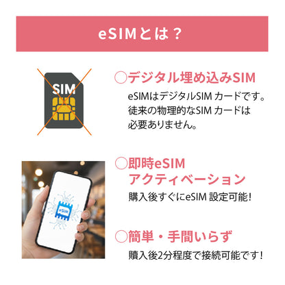 日本国内専用 データeSIM　50GB／31日間