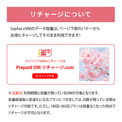 日本国内専用 データeSIM　50GB／31日間
