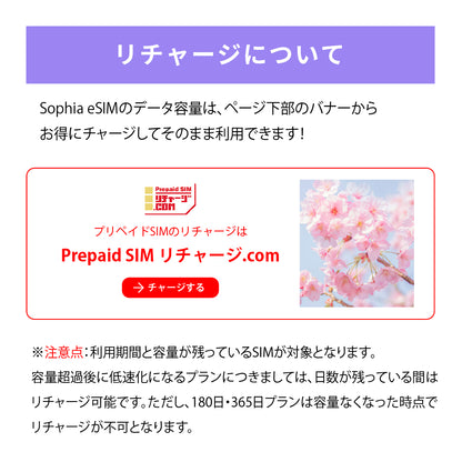 日本国内専用 データeSIM　5GB／3日間