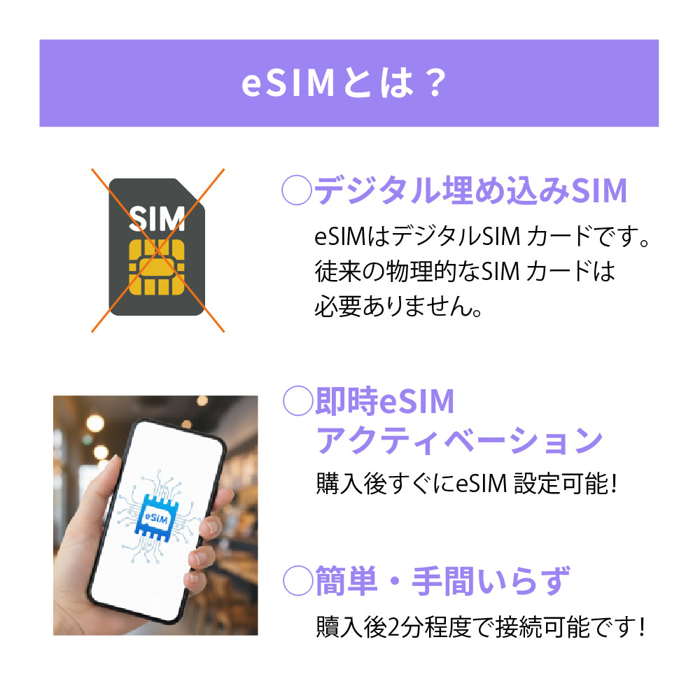 日本国内専用 データeSIM　5GB／3日間